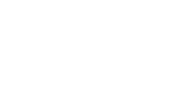 TransferMex